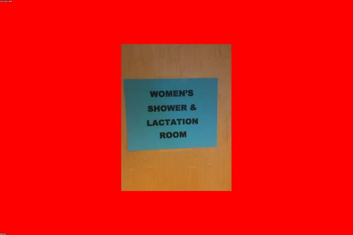 Bridging the Gap: New Initiatives Target the Complex Realities of Breastfeeding