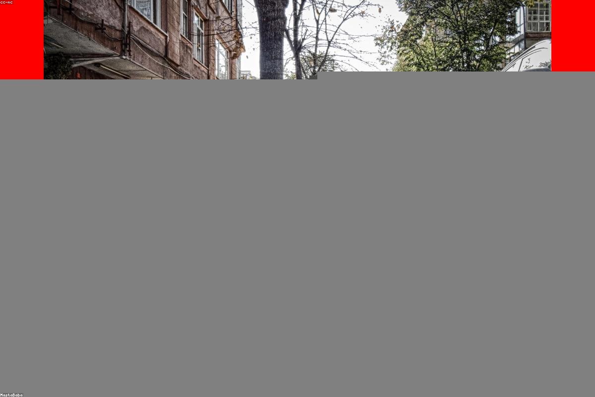 Lindsey Vonn Sets the Record Straight: Alpine Legend Disputes Medical Claims Over Knee Health