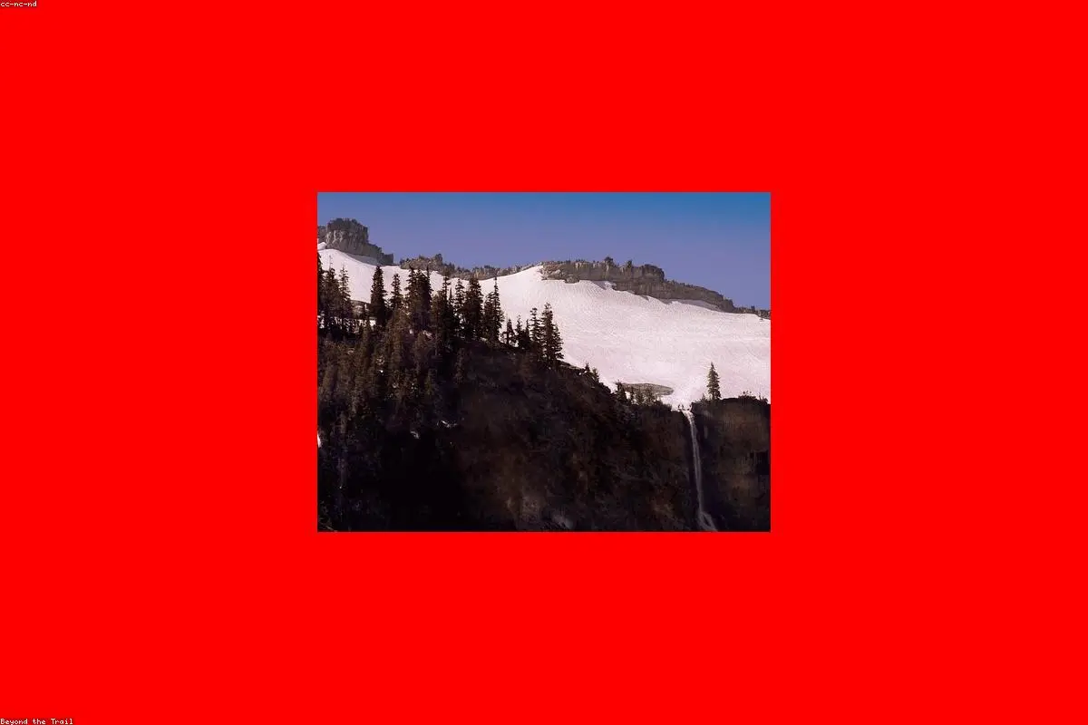 Beyond the Treeline: Why Wilderness Survival is the New Frontier for Suicide Awareness