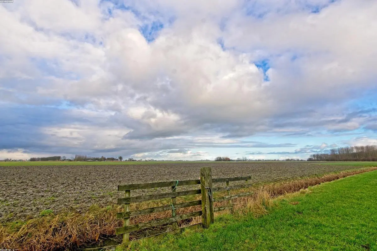 The Digital Red Tape Dilemma: Why Small Districts Fear the New E-Rate Bidding Portal