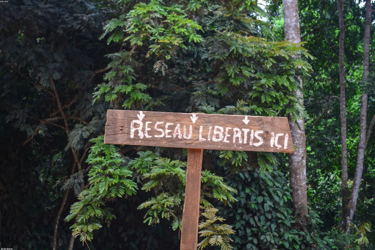 Double Delight: Finucane and Morris Triumph with European Gold Medals in Thrilling Turkey Showdown