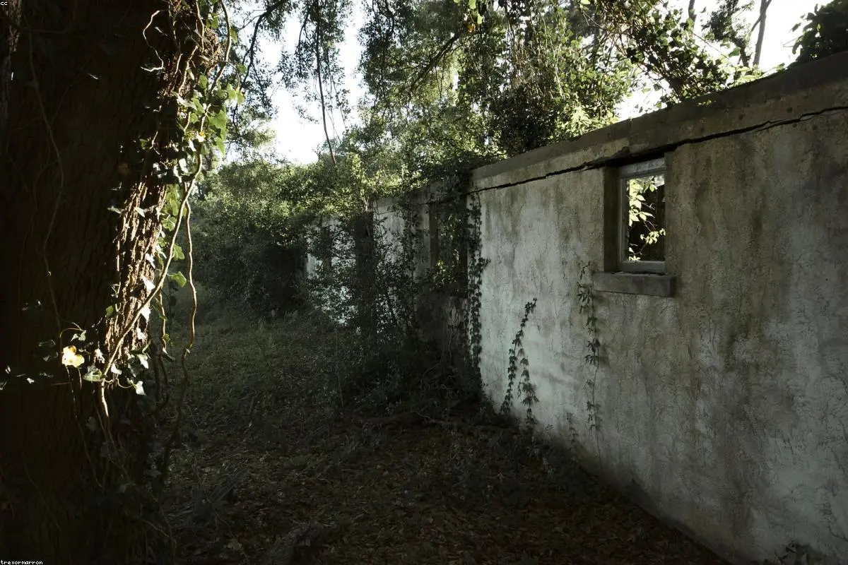 The Hidden Cost of Closure: Why Shuttering Schools Rarely Fixes the Budget