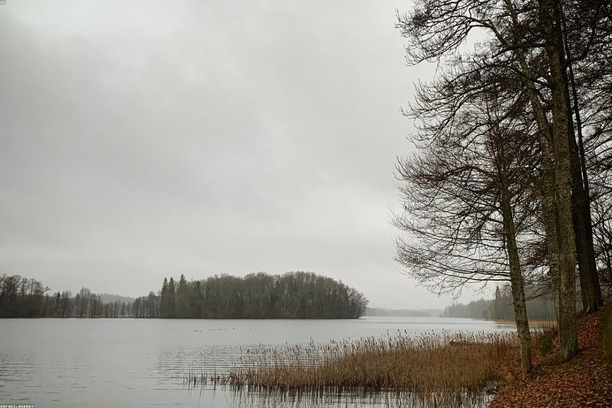 Brace for the Chill: Understanding Cold Weather Health Alerts