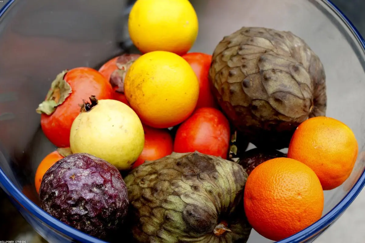 Nature’s Dessert: Why the World is Falling for the Fruit That Tastes Like Custard