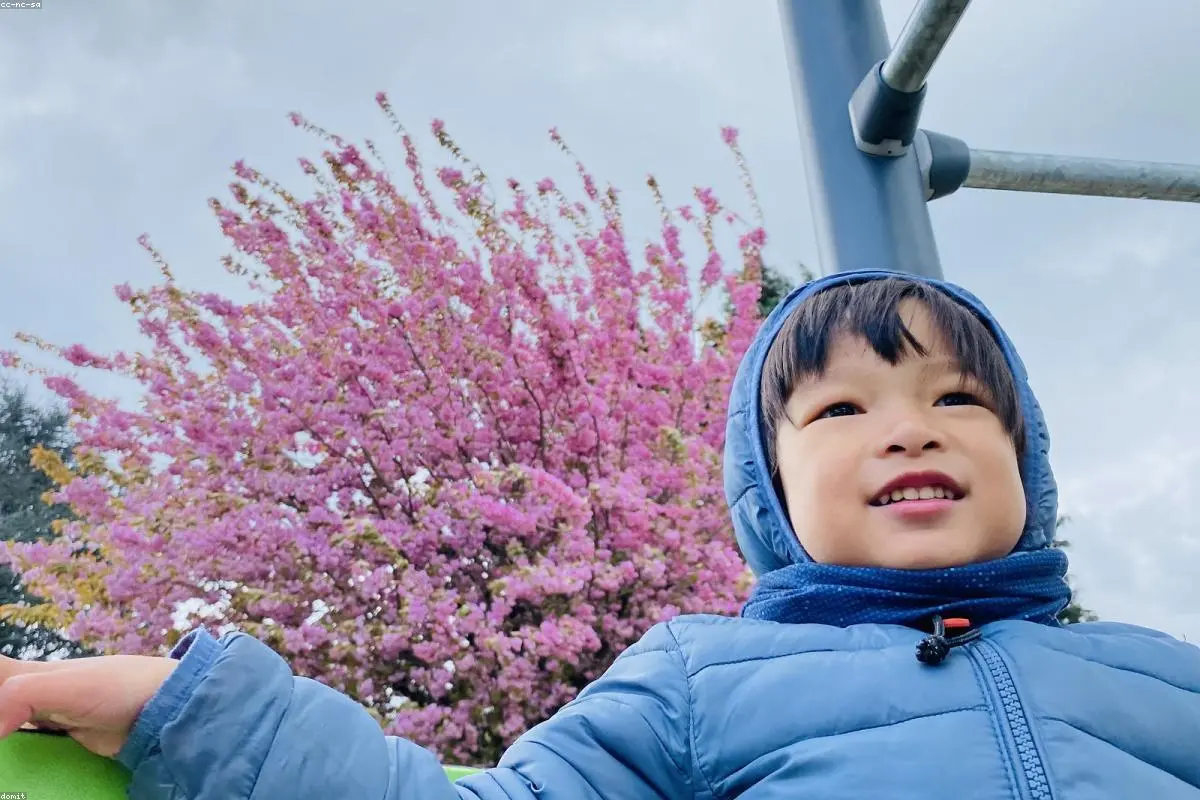 A New Chapter Down Under: Harry and Meghan Kick Off Four-Day Australian Tour