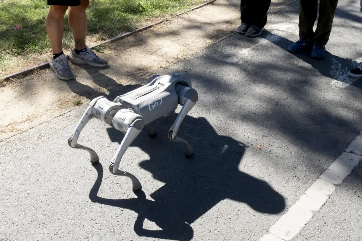 Unitree’s IPO Spark: Why Investors are Betting Big on China’s Robotics Champion