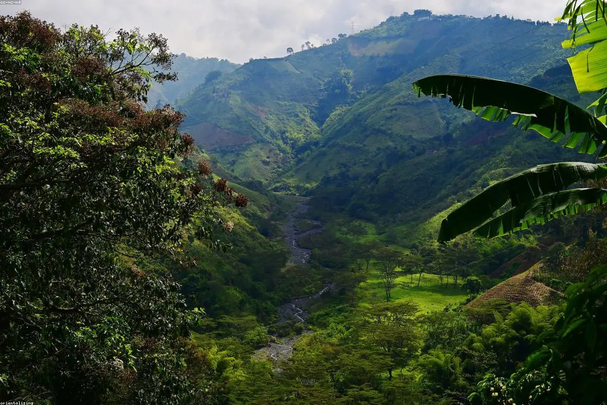 Beyond the Rodent: Why the Andes Strain of Hantavirus is Raising Global Health Alarms