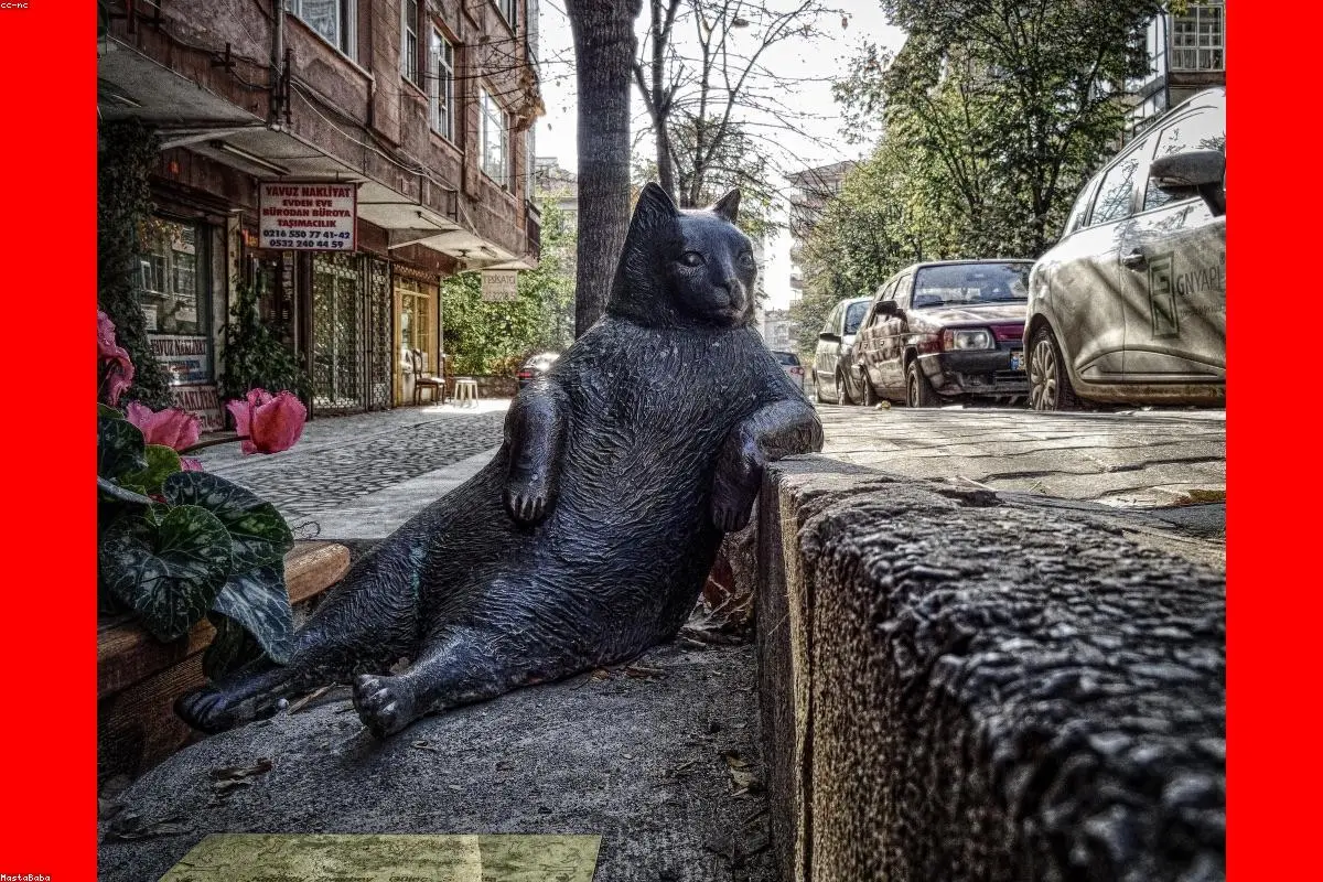 Beyond the Rocking Chair: Meet the World Champion Deadlifting Grandma