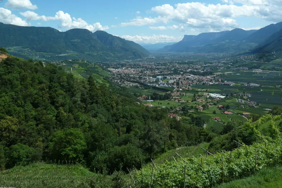 A Morning of Chaos in Merano: Eight Injured After Car Plows into Pedestrians