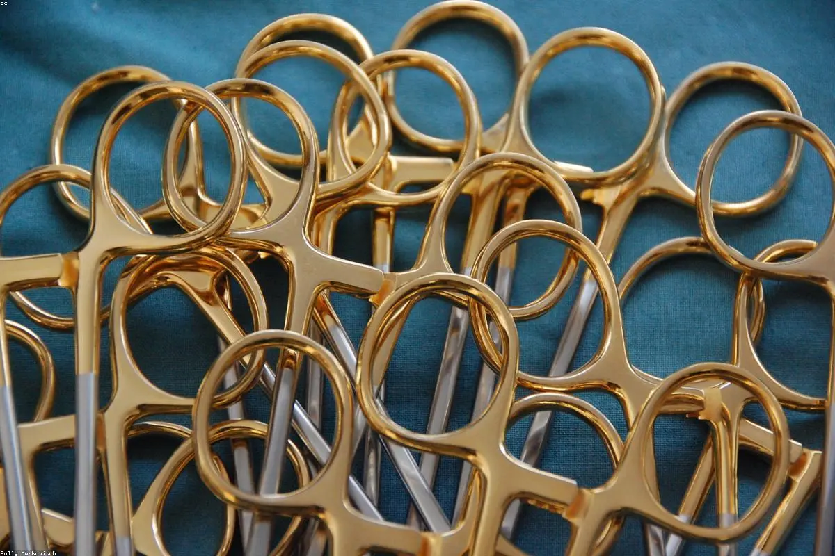 Witnessing History: How Medical Breakthroughs Redefine Our Concept of Wellness