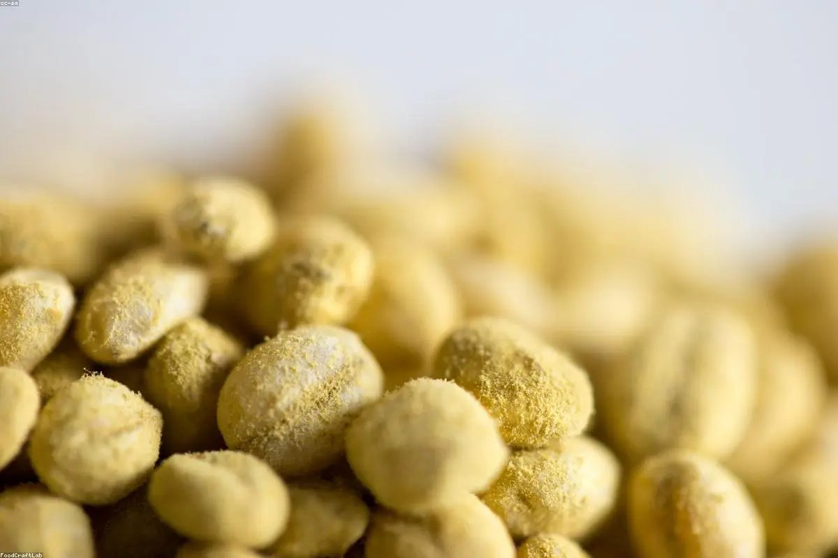 Beyond the Bin: How an Ancient Fungal Secret is Solving Modern Food Waste