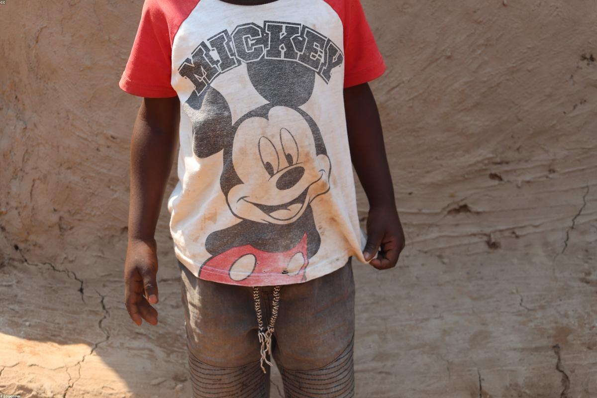 Tragedy in Zambia: Fisherman Fleeing Elephant Herd Killed by Crocodile