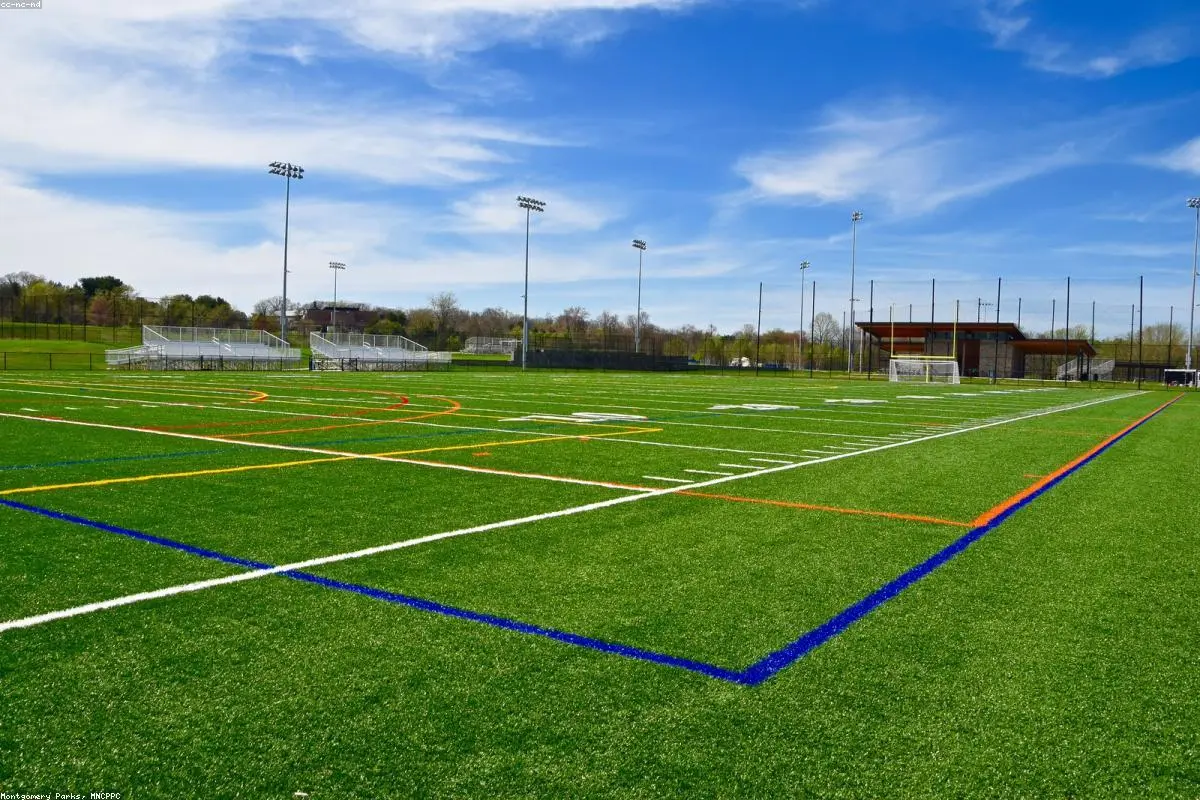 More Than Just a Game: Can You Ace the Ultimate Valentine’s Day Sports Quiz?