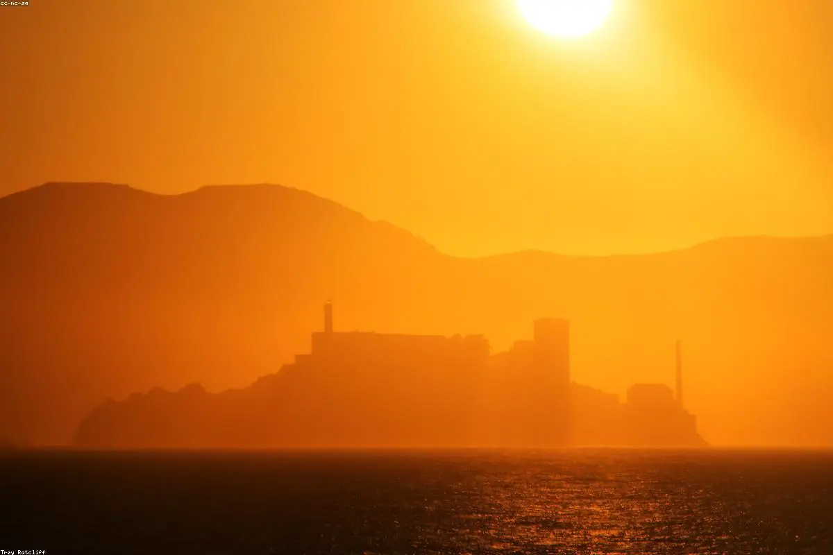 Beyond the Non-Stick Pan: The Lingering Reality of ‘Forever Chemicals’