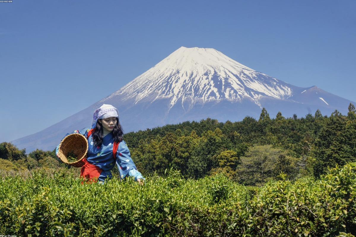 Japan Election 2024: Prime Minister Takaichi’s High-Stakes Snap Election Gamble