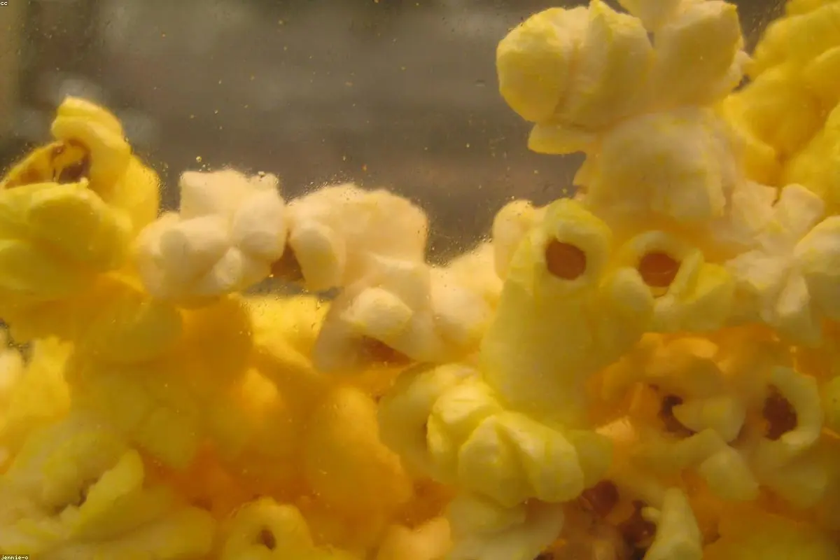 Trump Hails 'Historic' Deal for US Control Over 65 Billion Barrels of Venezuelan Oil