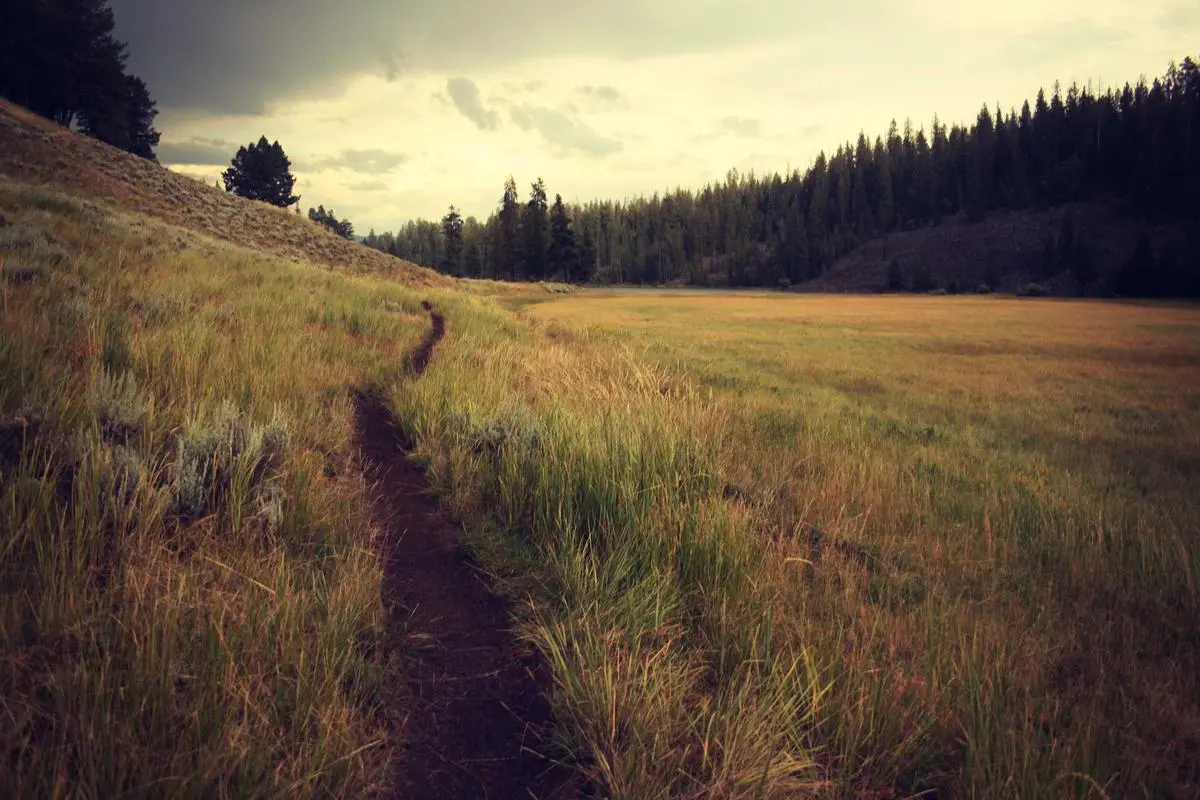 Navigating the Storm: How Schools Are Relying on Social-Emotional Learning for Today's Biggest Challenges