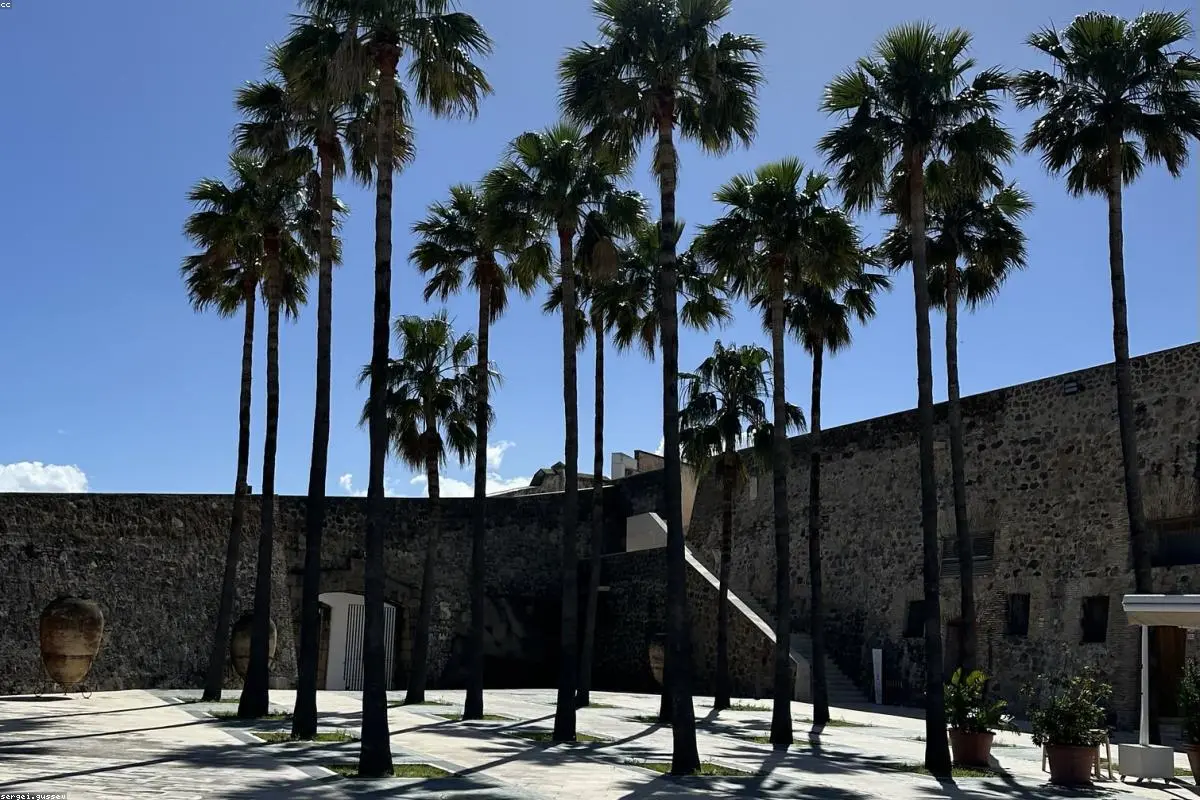 What Triggered the Mass Migrant Crossings Into Ceuta?