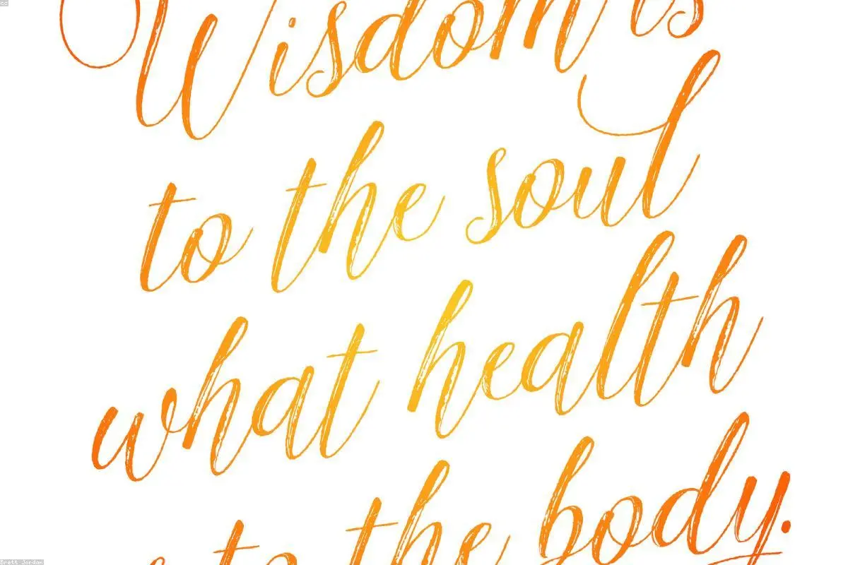 Beyond the Diagnosis: A Human Look Inside Health