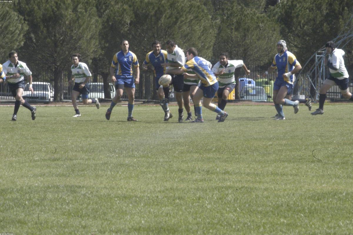 Italy's Six Nations Hopes Suffer Major Blow as Teenage Star Todaro Tears Cruciate Ligament
